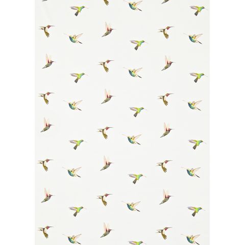 Amazilia Flamingo / Papaya / Apple Upholstery Fabric