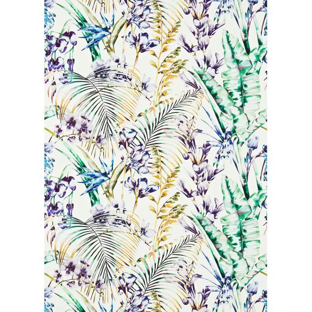 Harlequin Amazilia Paradise Gooseberry / Blueberry / Zest