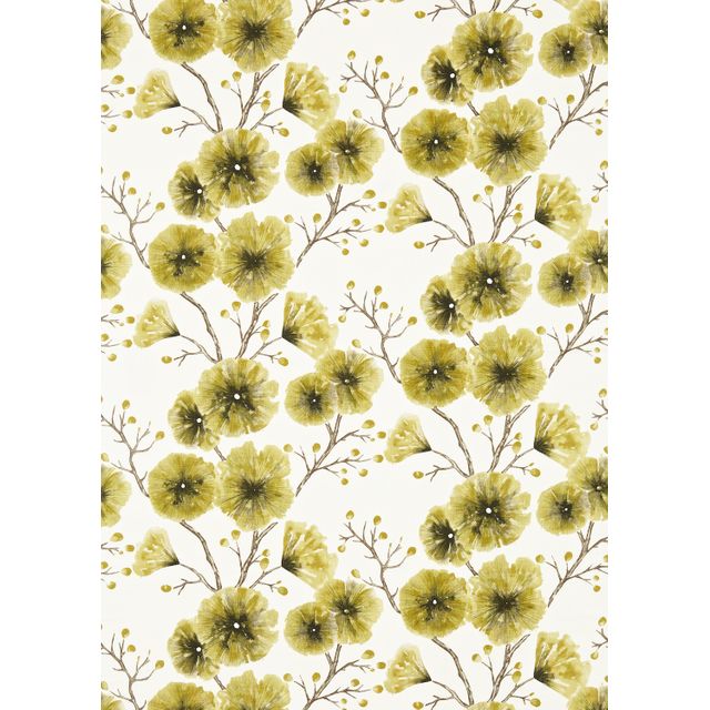 Harlequin Amazilia Kabala Zest