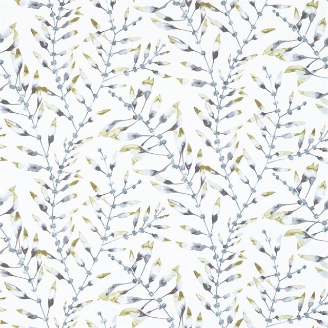 Harlequin Anthozoa Chaconia Lagoon/Linden