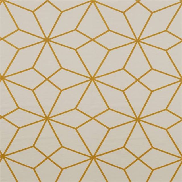 Harlequin Momentum 10 Axal Axal Ochre