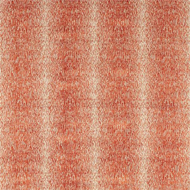 Harlequin Momentum 11 Niello Cayenne