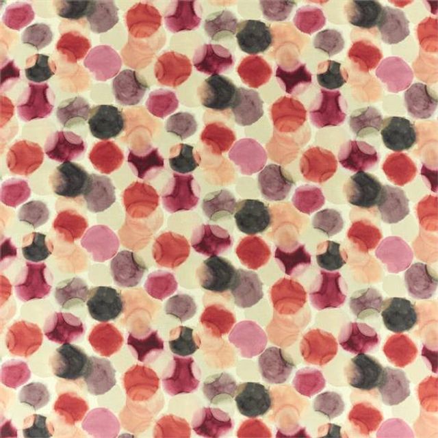 Harlequin Momentum 12 Selenic Tulip/Coral