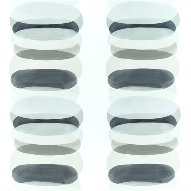 Harlequin Momentum 12 Elliptic Charcoal