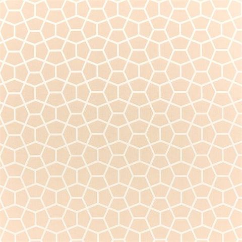 Harlequin Momentum 12 Glyptic Buff Box Cushion