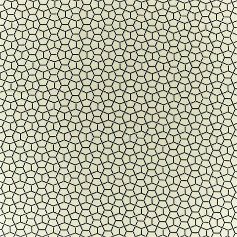 Cubica Onyx Voile Fabric