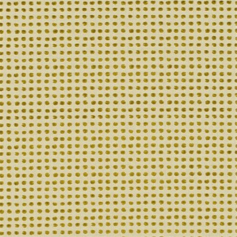 Polka Mustard Neutral