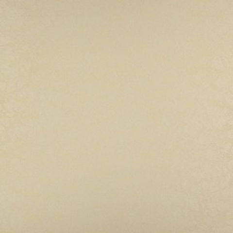 Limbo Champagne Voile Fabric