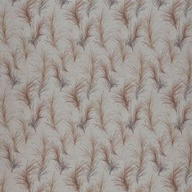 Feather Boa Coral