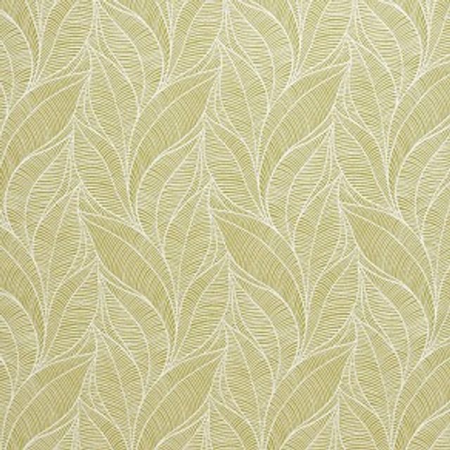 iLiv Maldives Tahiti Kiwi