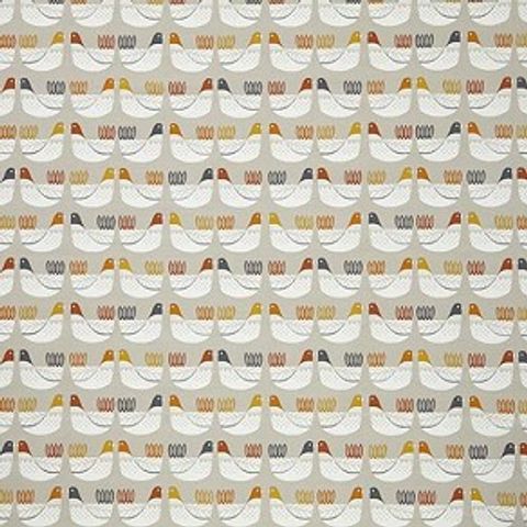 Cluck Cluck Tangerine