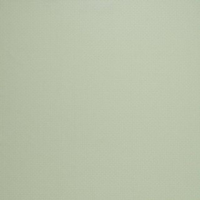 iLiv Orientailis Asami Duckegg