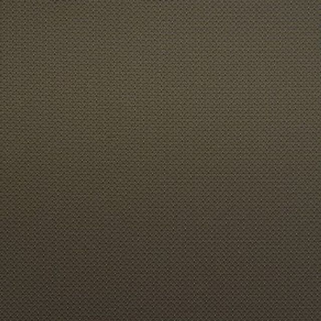 iLiv Orientailis Asami Jet