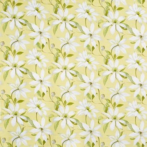 Olivia Primrose Voile Fabric