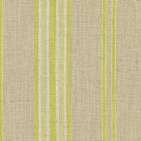 Backridge Stripe Citrus Voile Fabric