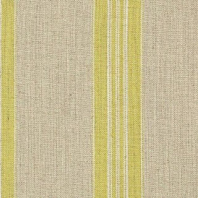 Art of the Loom Stripes Volume 1 Leagram Stripe Citrus