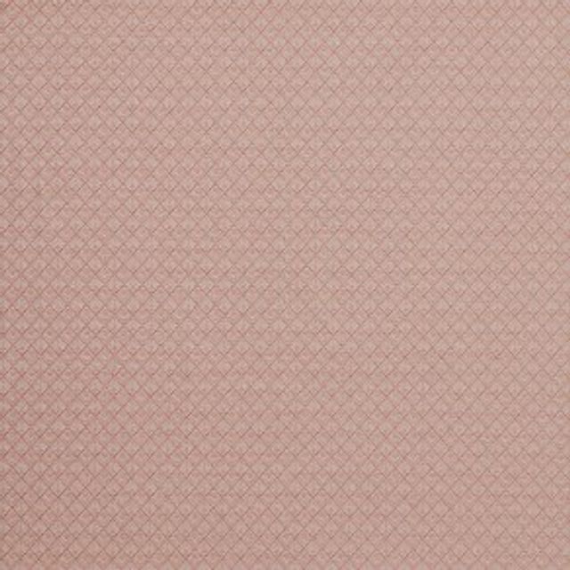 iLiv Botanist Alpine Coral