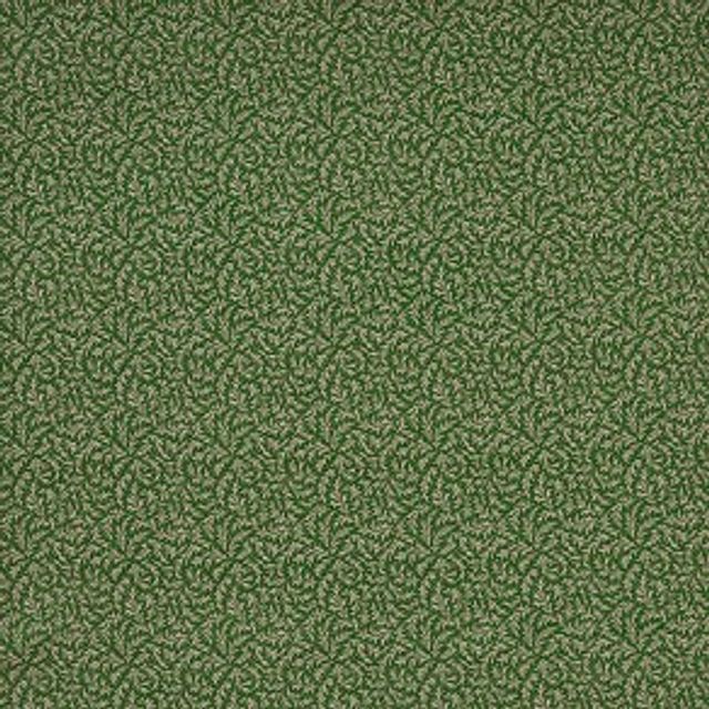 iLiv Botanist Aster Forest