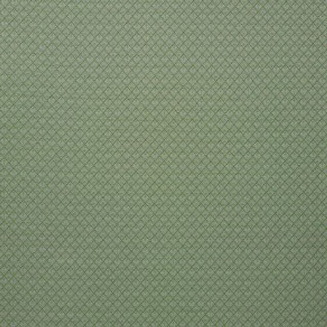 iLiv Botanist Alpine Forest