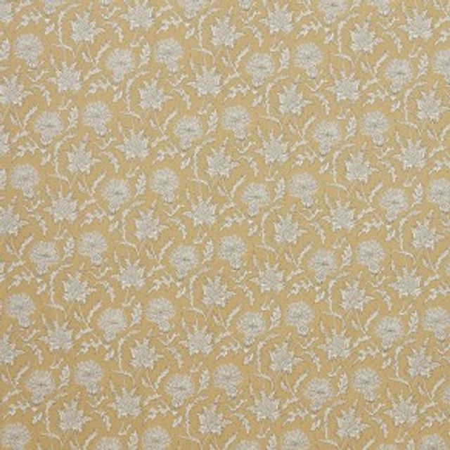 iLiv Botanist Carlina Ochre