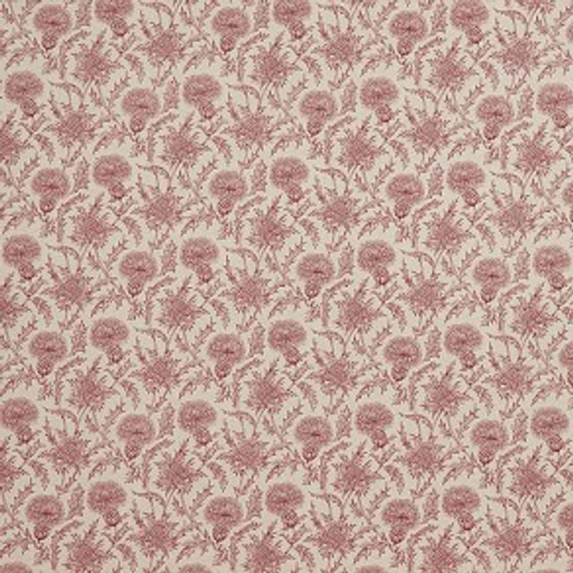 iLiv Botanist Carlina Garnet