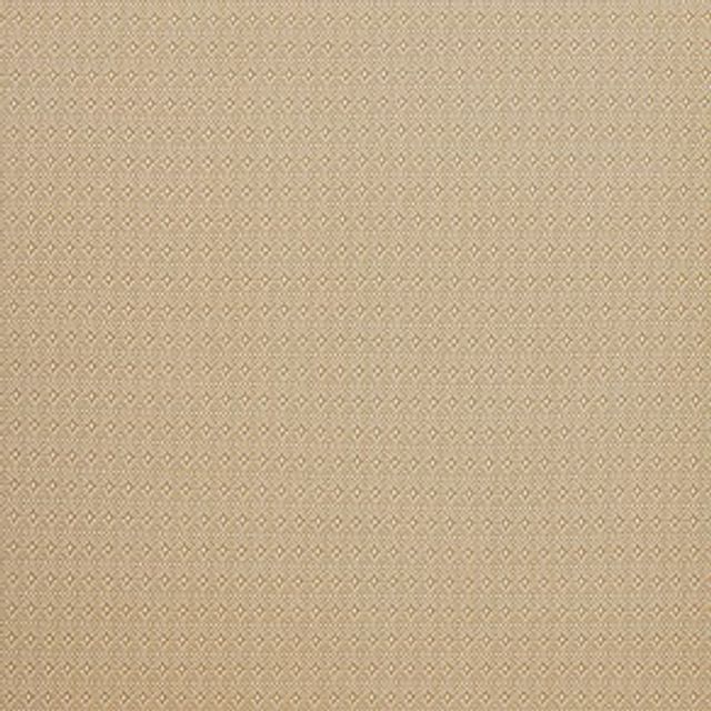 iLiv Navajo Aztec Ochre