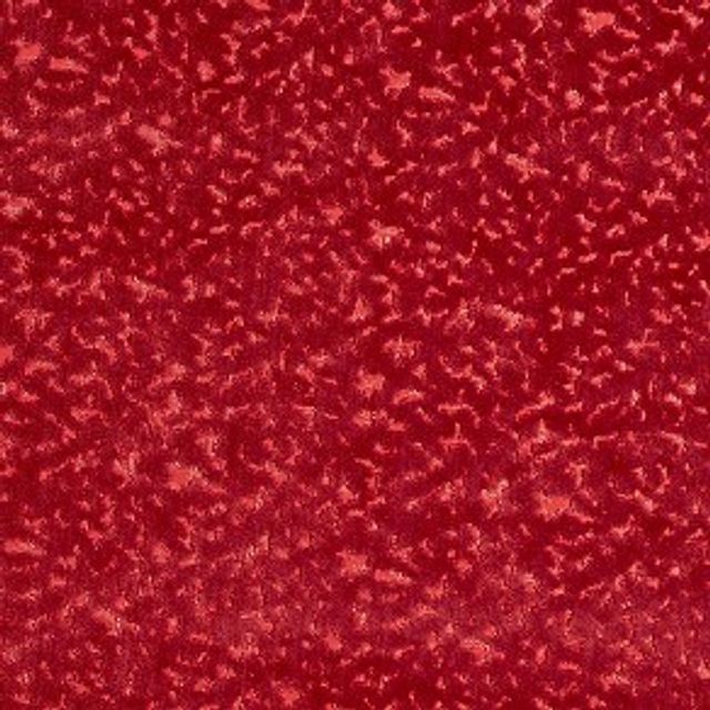 Prestigious Textiles Pharaoh Pharaoh Scarlet