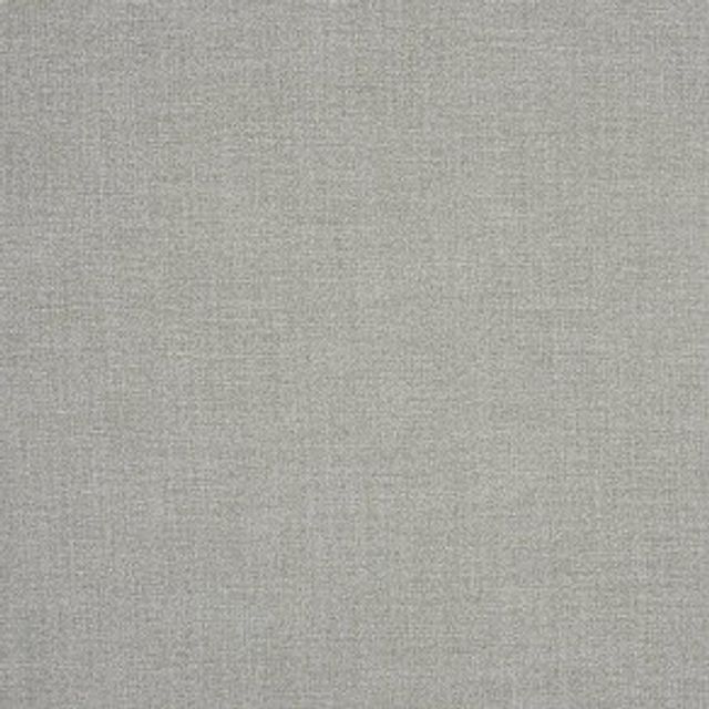 Prestigious Textiles Saxon Saxon Carbon