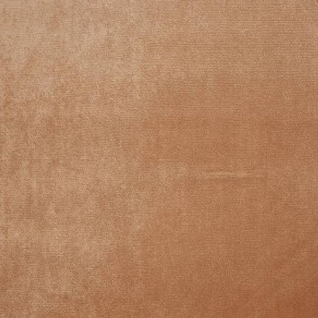 Prestigious Textiles Velour Velour Henna