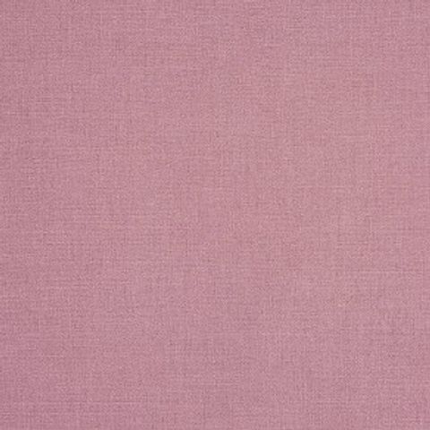Saxon Petunia Upholstery Fabric