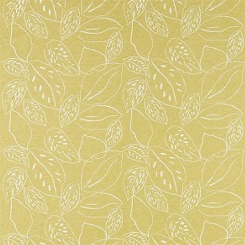 Orto Lime Voile Fabric