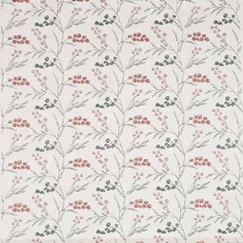 Evangaline Wild Rose