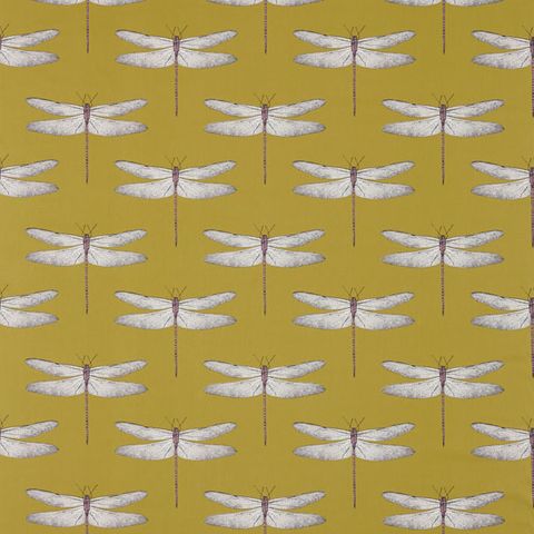 Demoiselle Chartreuse/Grape