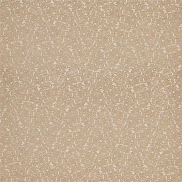 Harlequin Paloma Lucette Brass
