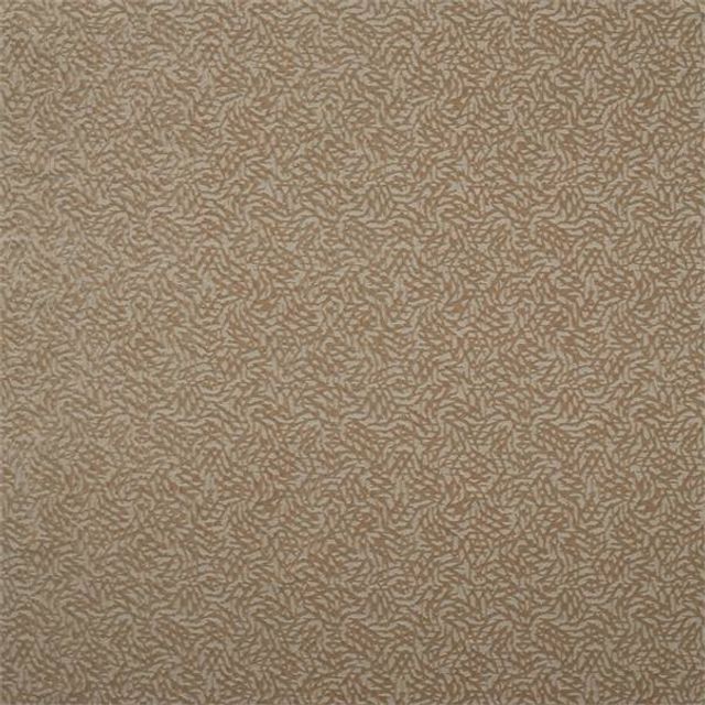 Harlequin Paloma Dentella Brass