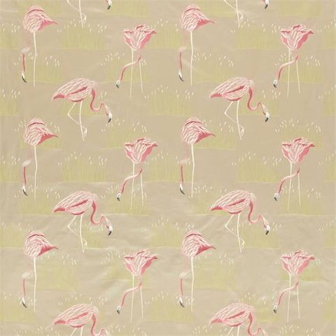 Salinas Blossom/Laurel