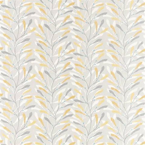 Sea Kelp Ochre/Slate