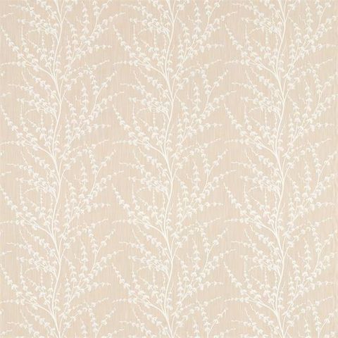 Armeria Trail Driftwood