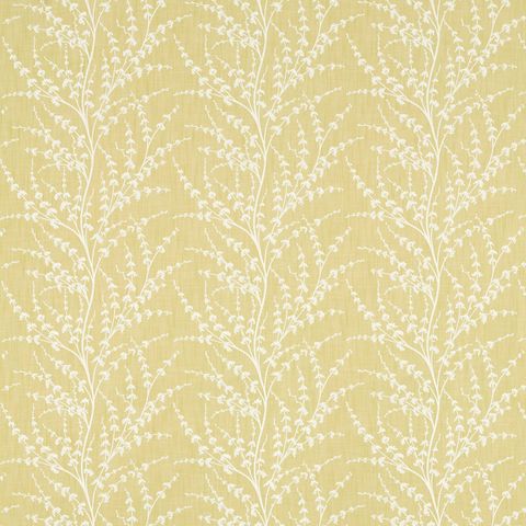 Armeria Trail Lichen