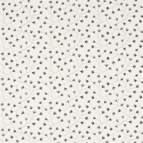 Gingko Trail Mineral