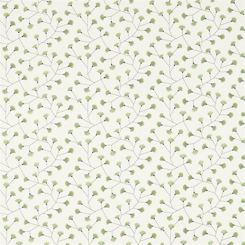 Gingko Trail Winter Rocket