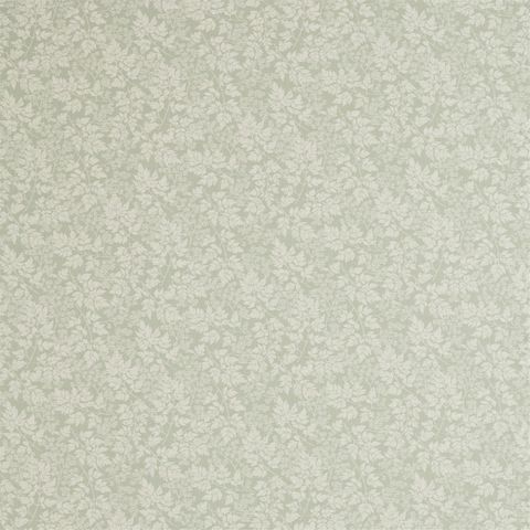 Spring Leaves Fennel