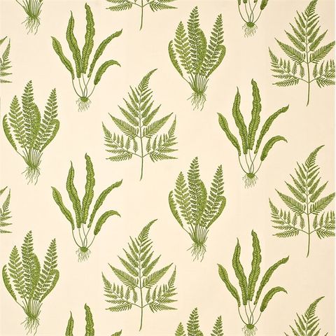 Woodland Ferns Green Voile Fabric