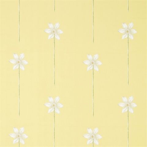 Thalia Daffodil/Natural Voile Fabric