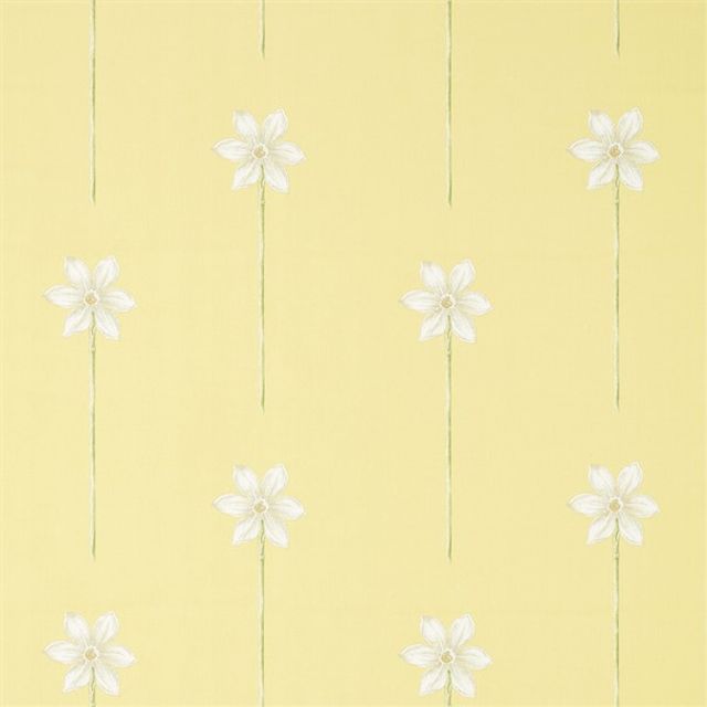 Thalia Daffodil/Natural