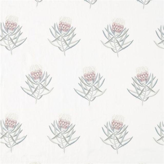 Sanderson Art Of The Garden Fabrics Protea Flower Porcelain/Orchid