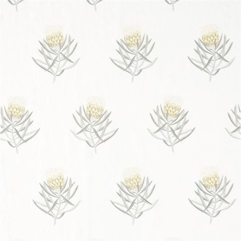 Protea Flower Daffodil/Natural