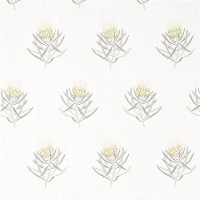 Sanderson Art Of The Garden Fabrics Protea Flower Daffodil/Natural