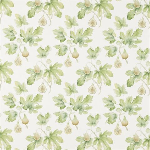 Fig Harvest Garden Green Voile Fabric