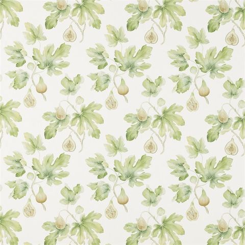 Fig Harvest Garden Green